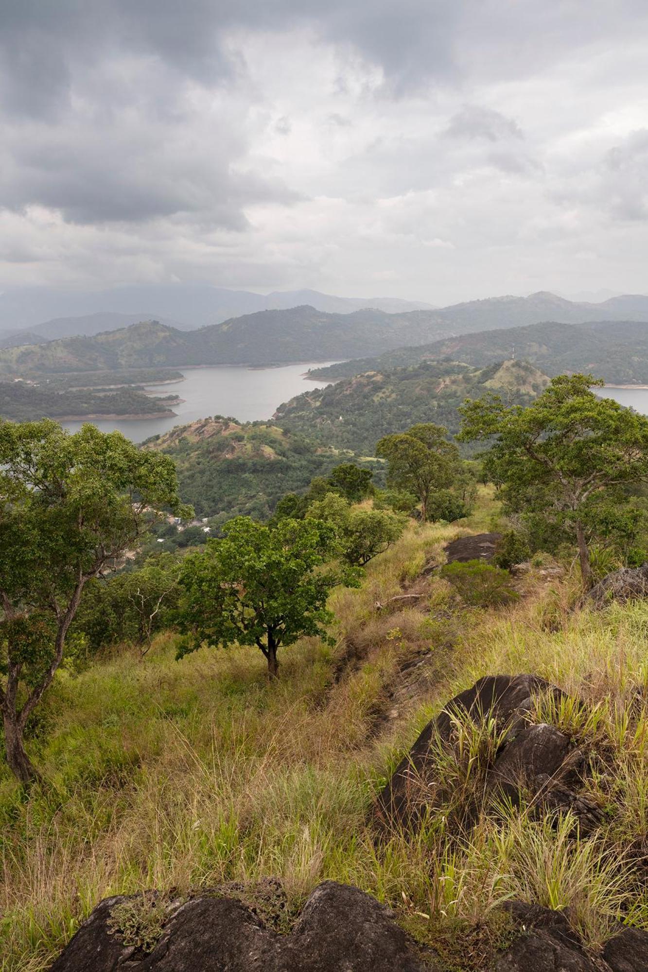 Kandy Victoria Eco Resort Екстериор снимка